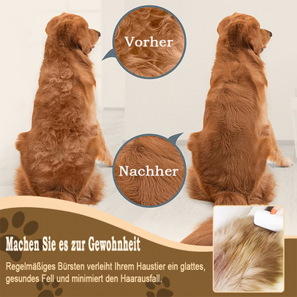 60% OFF DE🔥 2026 SALE - 2-IN-1 Selbstentwirrender & Pflegekamm für Haustiere